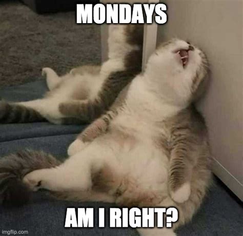 i hate mondays meme